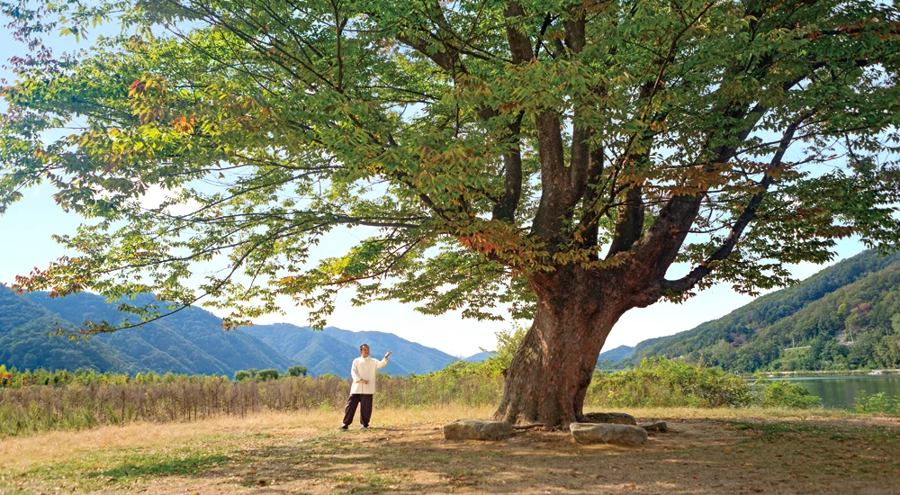 金菩提宗師教授八卦內功陰陽掌 Grandmaster JinBodhi Energy Bagua